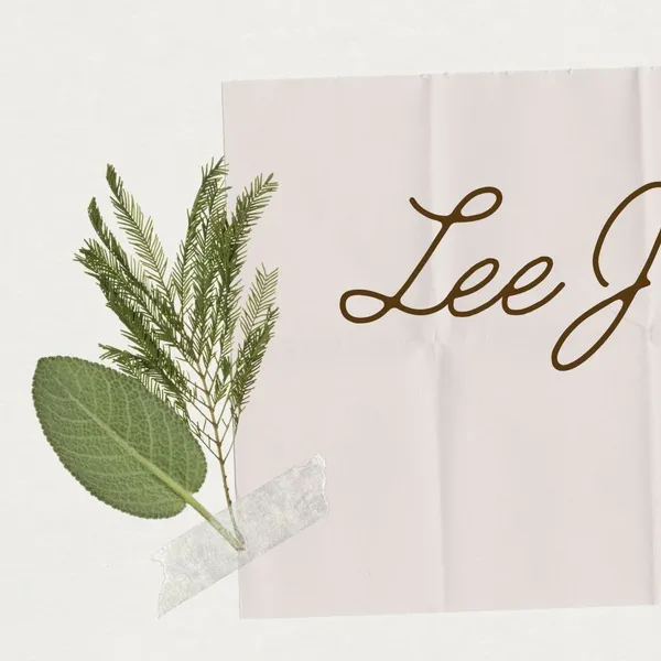 Idol_Top_Banner