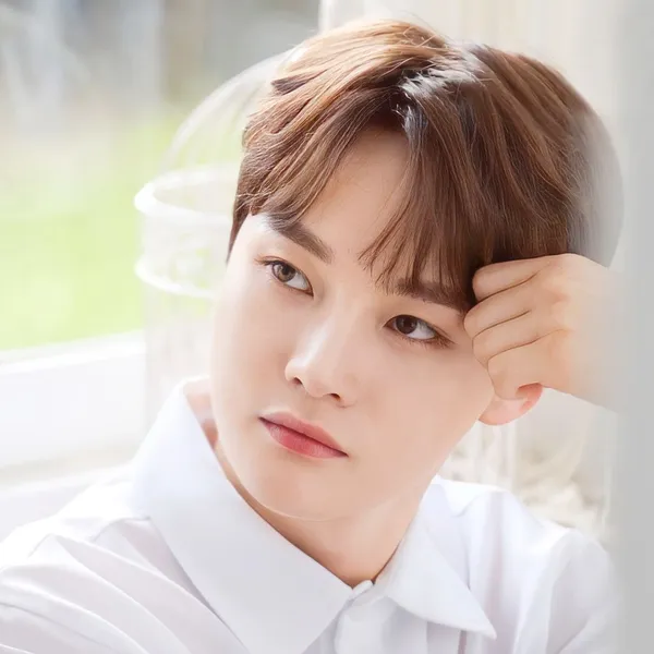 粉絲選出的朴瑞鎮最佳時刻