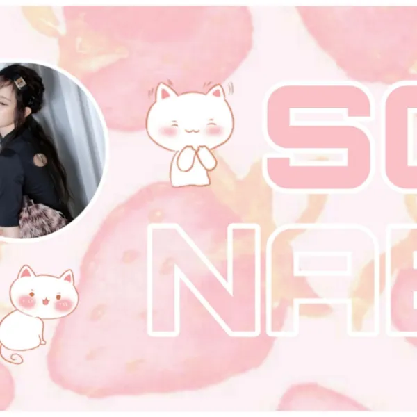 Idol_Top_Banner