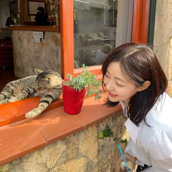 Idol_Top_Banner