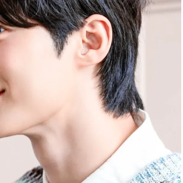 Idol_Top_Banner