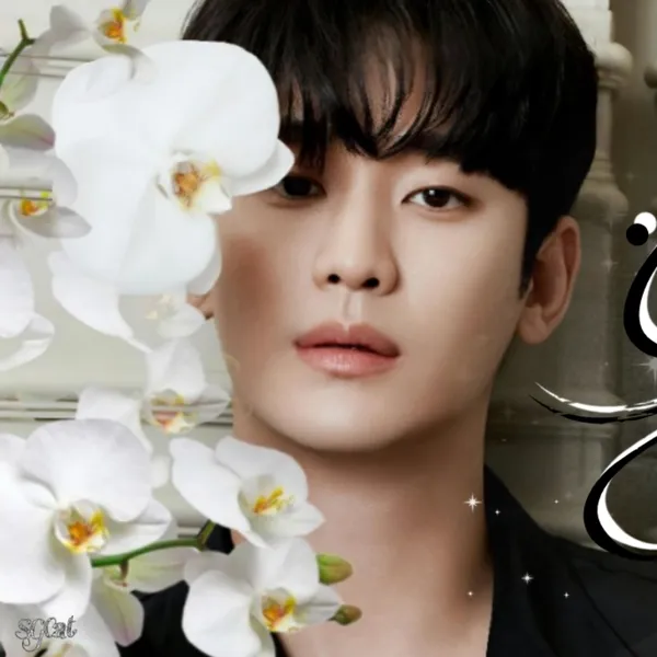 Idol_Top_Banner