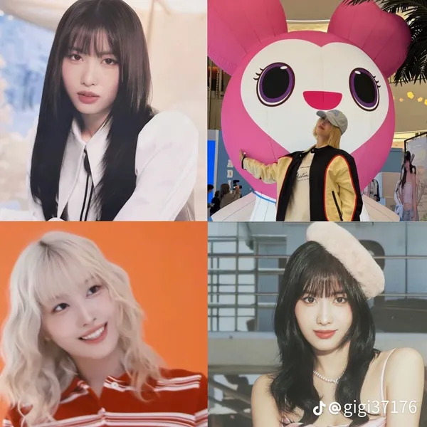 Idol_Top_Banner