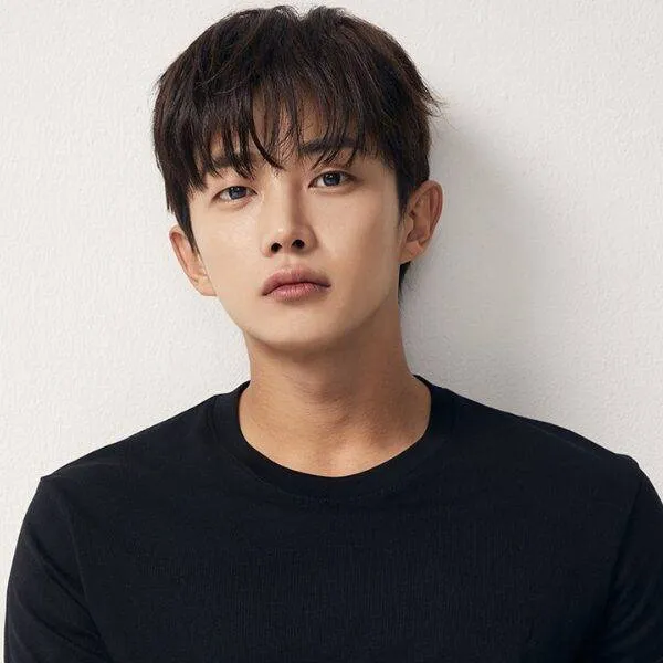 Idol_Top_Banner