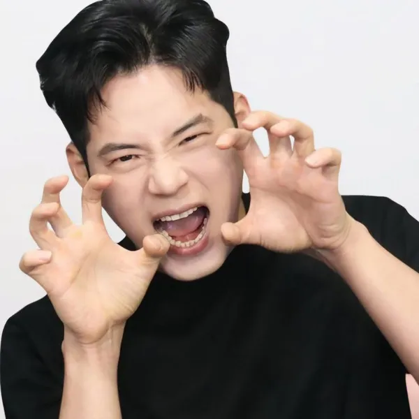 Idol_Top_Banner