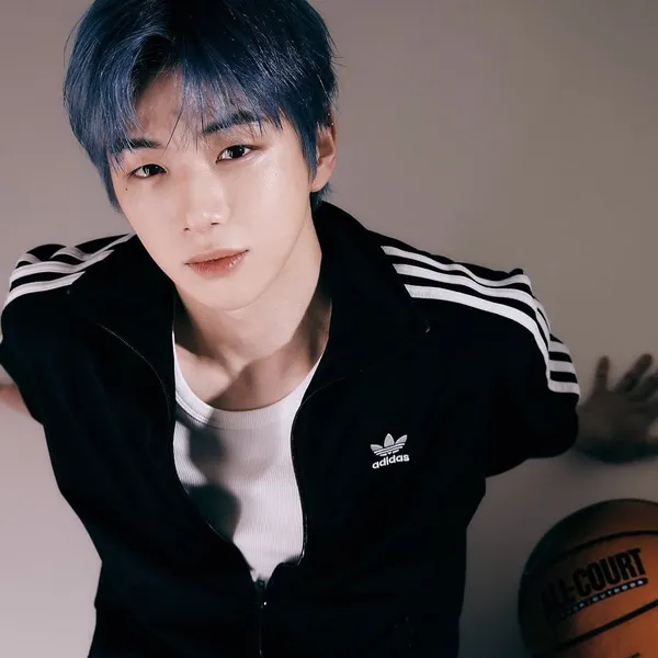 Idol_Top_Banner