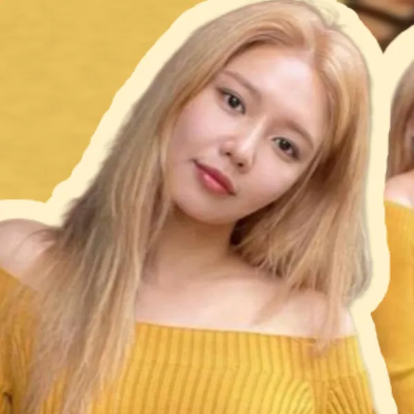 Top moment of Sooyoung chosen by fans