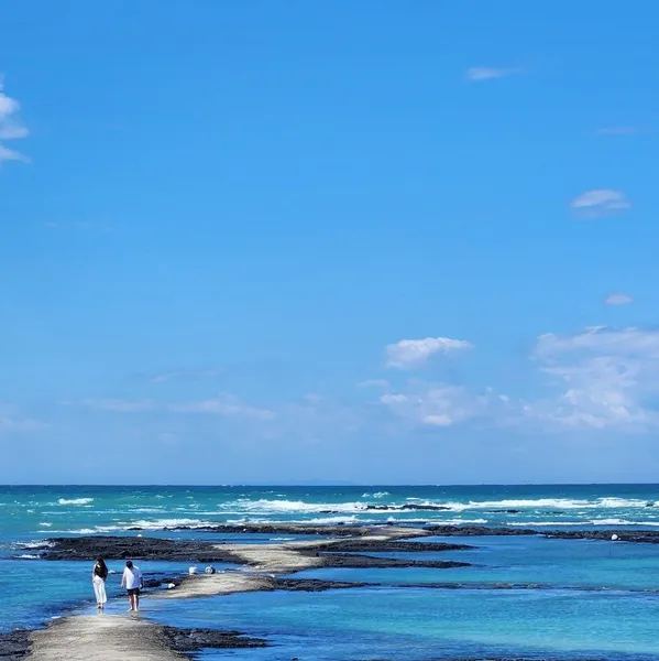 Idol_Top_Banner
