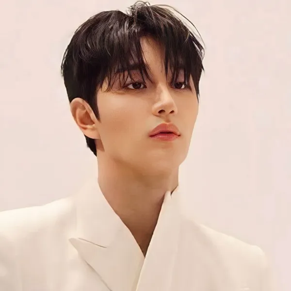 Idol_Top_Banner