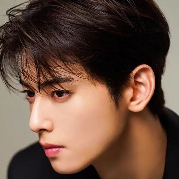 Top moment of Cha Eunwoo chosen by fans