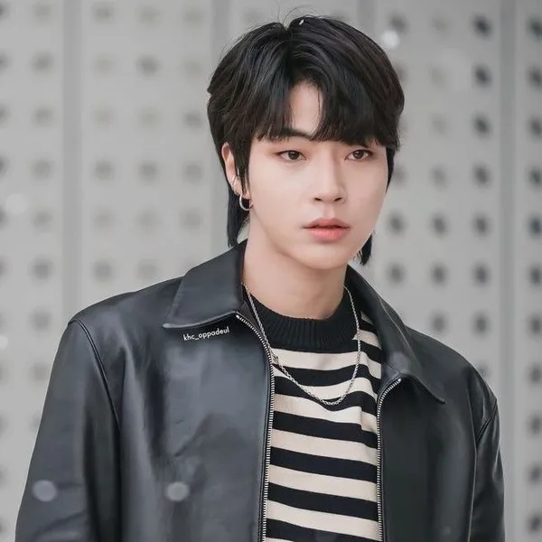Idol_Top_Banner
