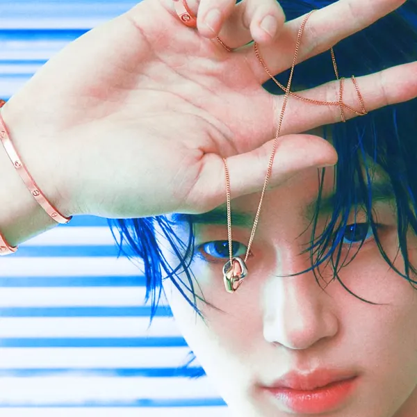 Idol_Top_Banner