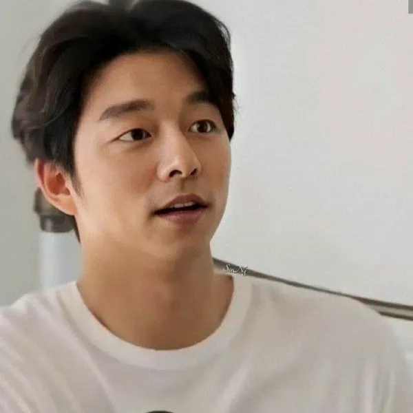 Idol_Top_Banner