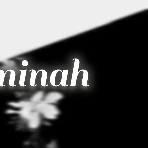 Idol_Top_Banner