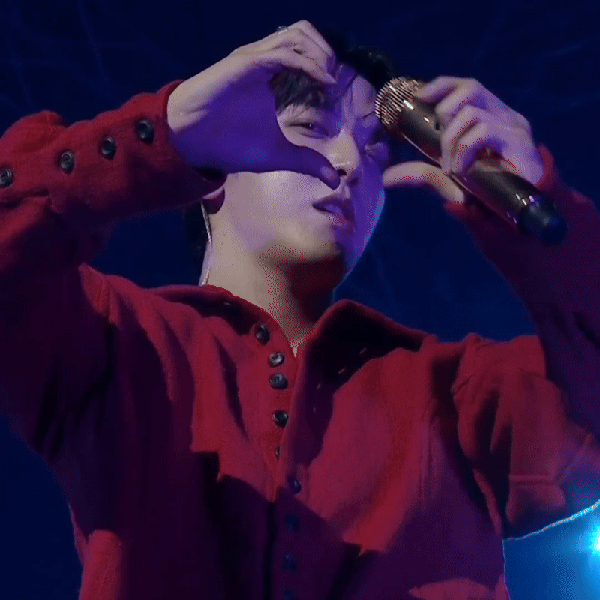 Idol_Top_Banner