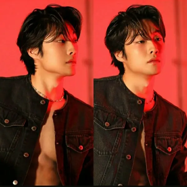 Idol_Top_Banner