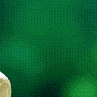 Idol_Top_Banner