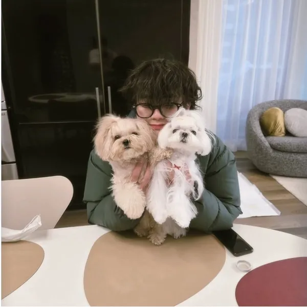 Idol_Top_Banner