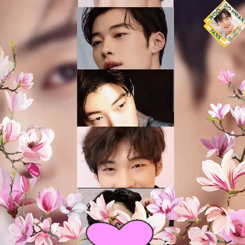 Idol_Top_Banner