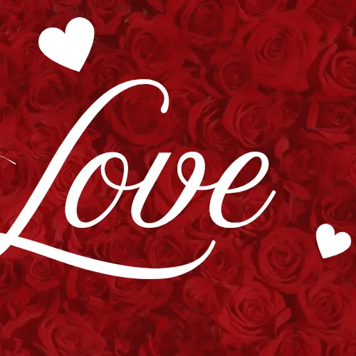Idol_Top_Banner