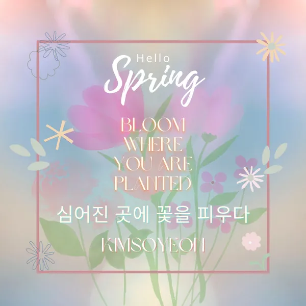 Idol_Top_Banner
