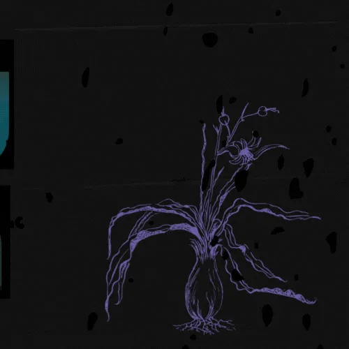 Idol_Top_Banner