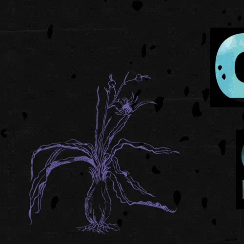 Idol_Top_Banner