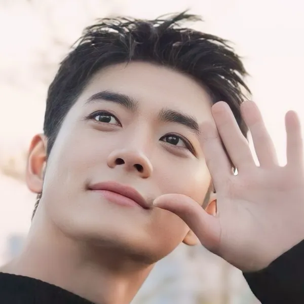 Idol_Top_Banner