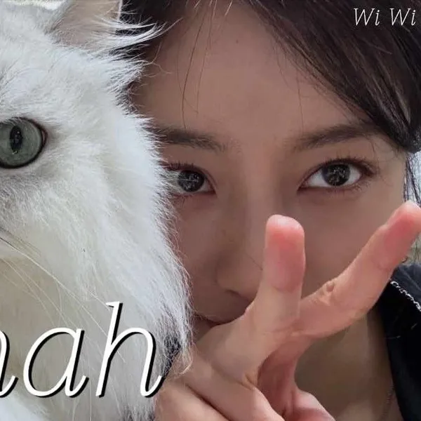 Idol_Top_Banner