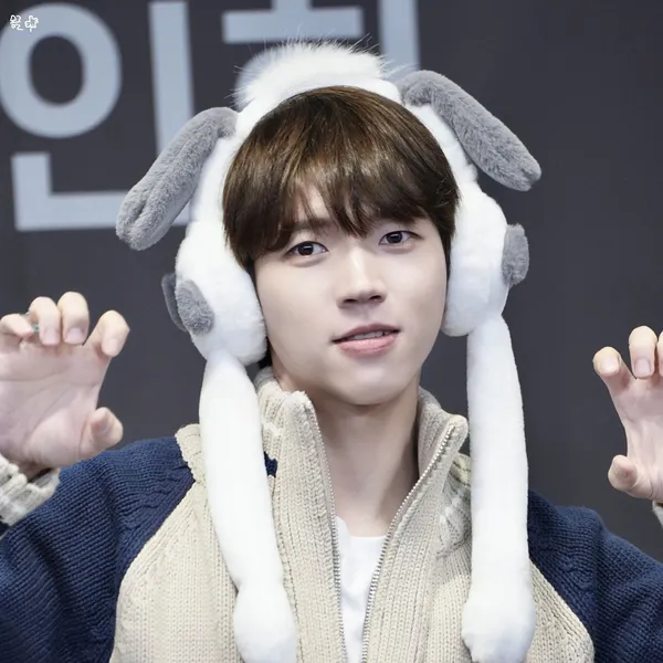 Idol_Top_Banner