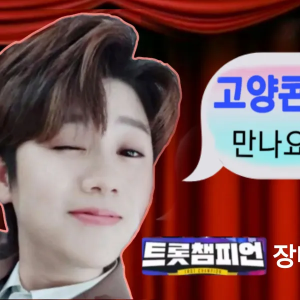 Idol_Top_Banner