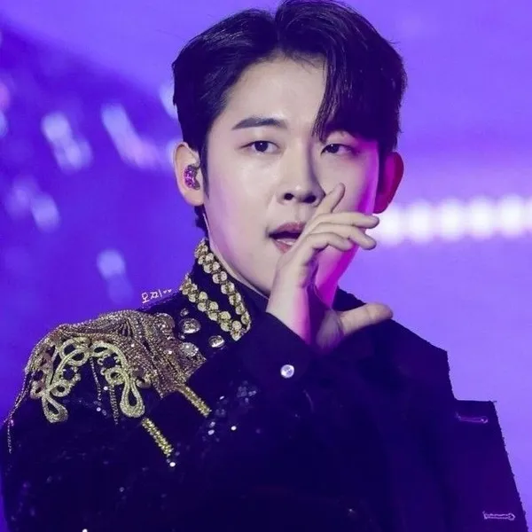 Idol_Top_Banner