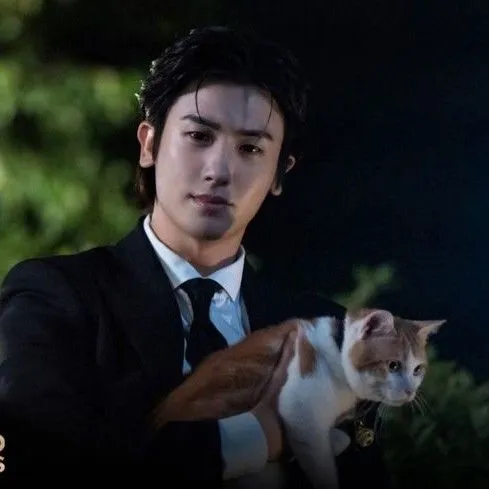 Idol_Top_Banner