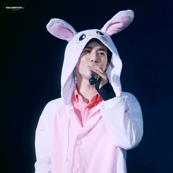 Idol_Top_Banner