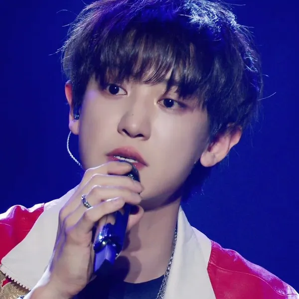 Idol_Top_Banner
