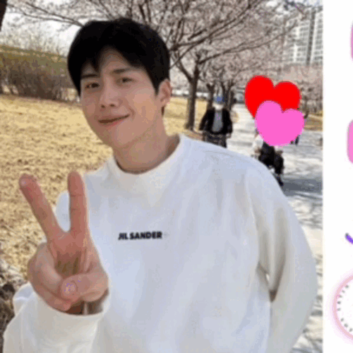 Idol_Top_Banner