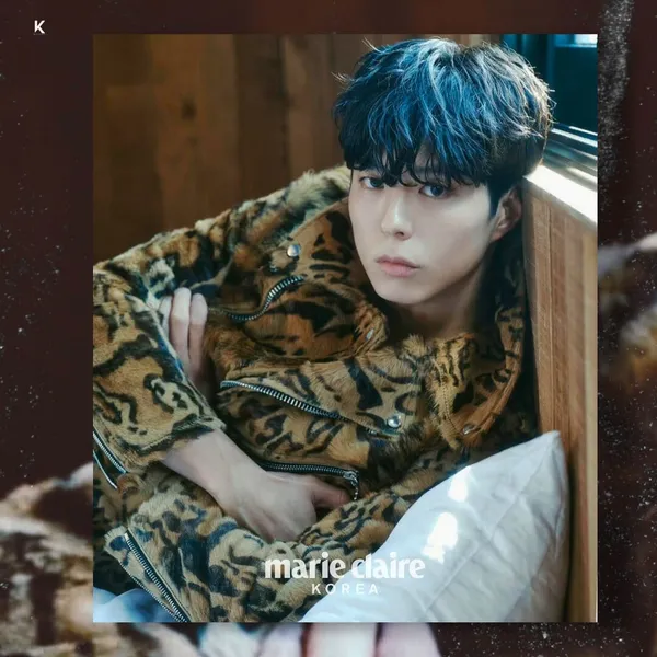 Idol_Top_Banner