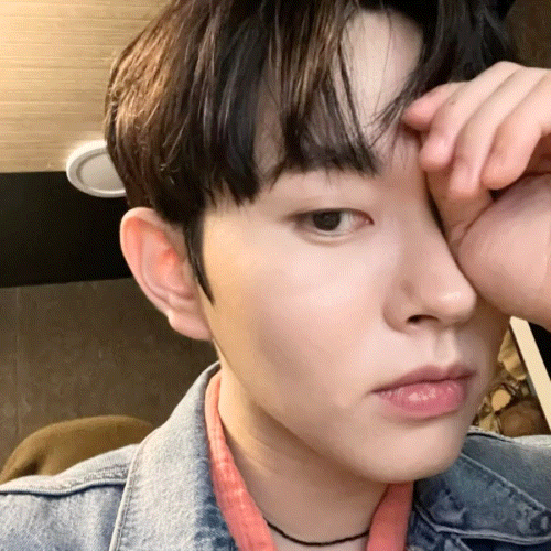 Idol_Top_Banner