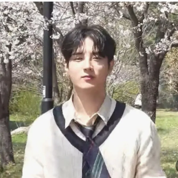 Idol_Top_Banner