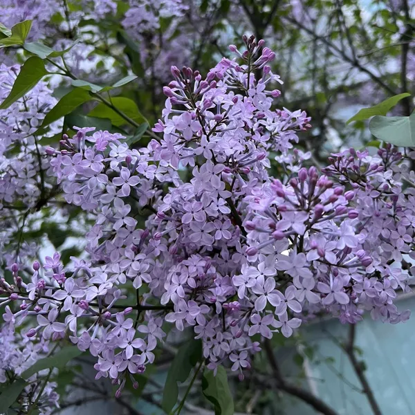 Top moment of Joodoonge chosen by fans