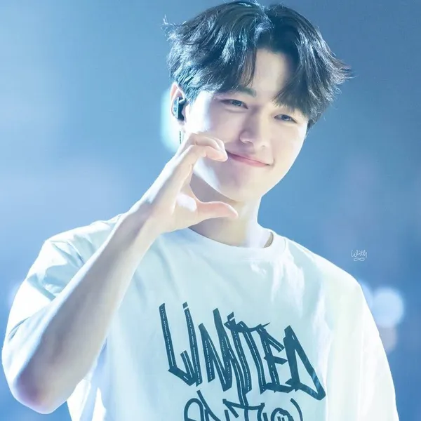 Idol_Top_Banner
