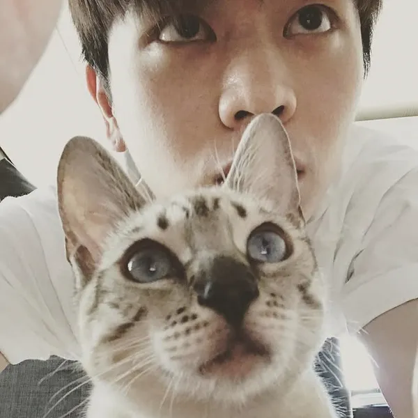 Popular photo full of fans’ love for Yook Sungjae