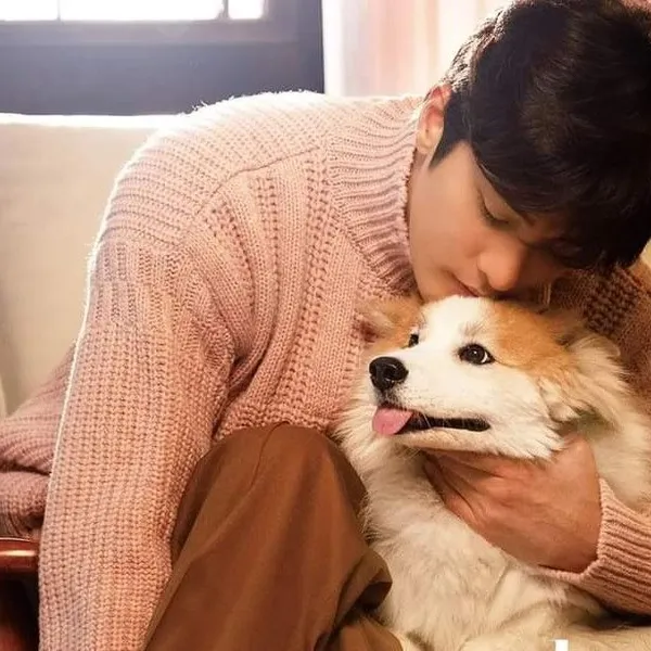 Idol_Top_Banner