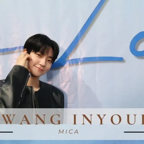 Idol_Top_Banner