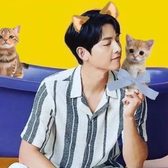 Idol_Top_Banner