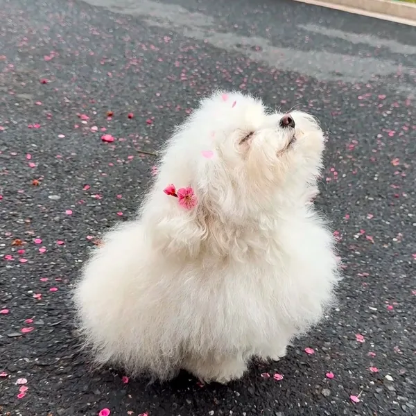 充滿粉絲愛的朴娜勑人氣照片