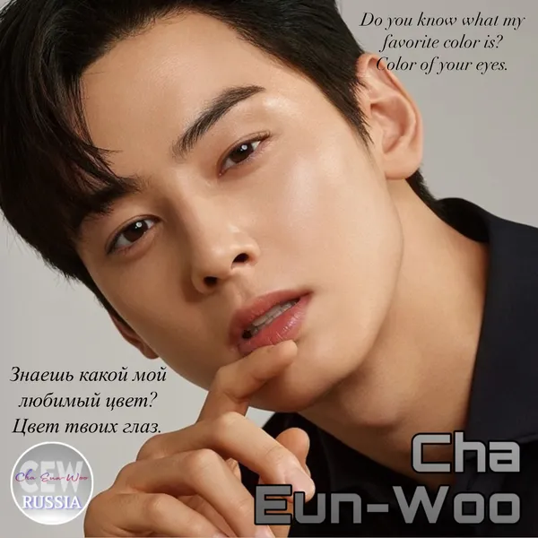차은우 팬심 가득한 인기 사진