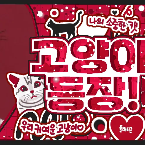Top moment of Go Younjung chosen by fans