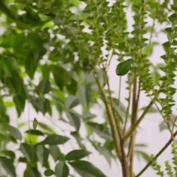 粉絲選出的金宣虎最佳時刻