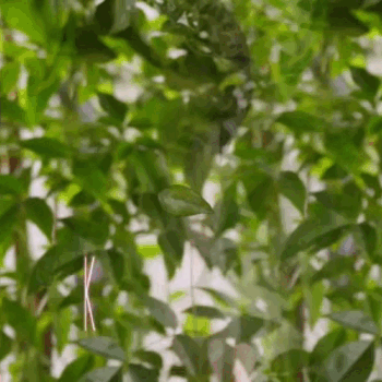 今天最受喜愛的金宣虎模樣
